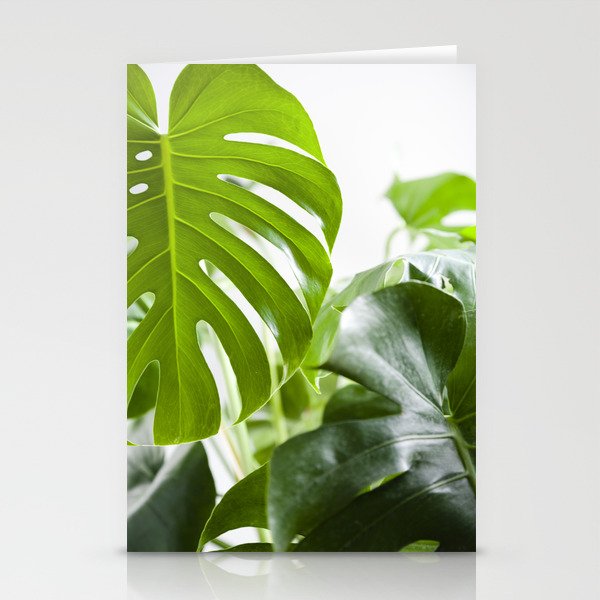 Monstera Deliciosa II  |  The Houseplant Collection Stationery Cards