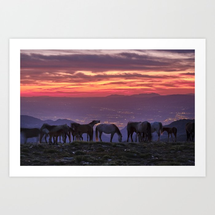 Wild horses at the mountains. Sierra Nevada National park just after sunset Art Print