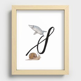 S is for Shark, S is for Snail Recessed Framed Print