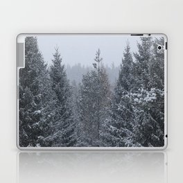 Scottish Highlands Snow Covered Pine Forest  Laptop Skin
