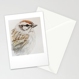 chipping sparrow portrait Stationery Cards