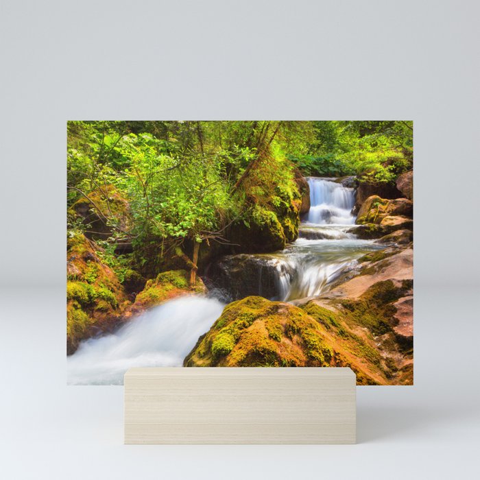 Swiss Rapids Mini Art Print By Davehare