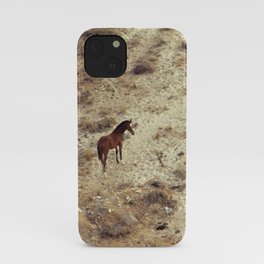 Horse in Santorini iPhone Case