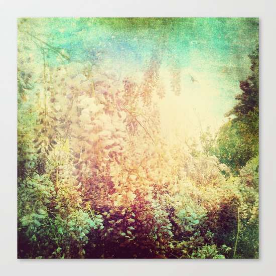 Vintage Wisteria Canvas Print