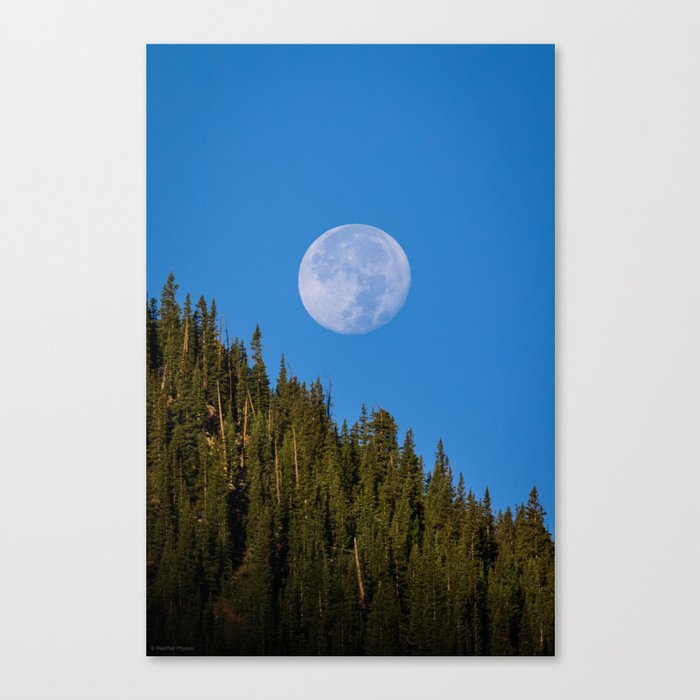 Waxing Gibbous Moon Over the Firs in Alpenglow, Peru Creek, Colorado Canvas Print