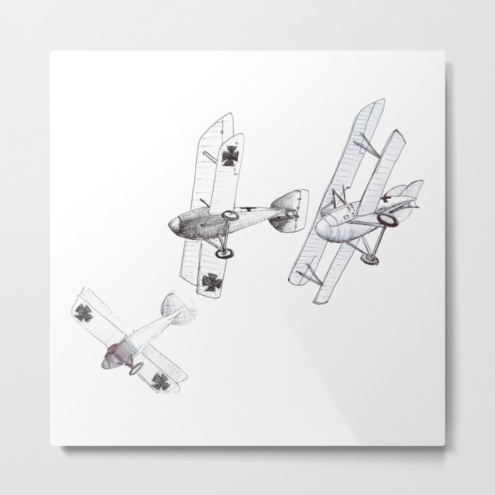 Diving Albatross' - B+W Metal Print