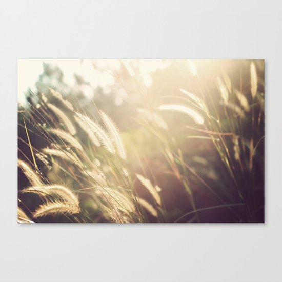 Day Out Canvas Print