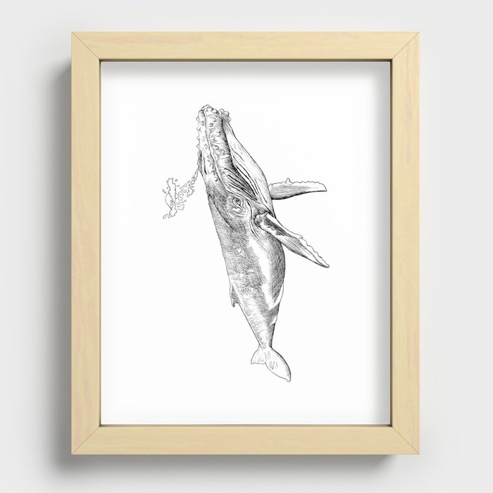 Humpback Whale with Bubbles Recessed Framed Print