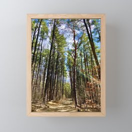 Follow the Path Framed Mini Art Print