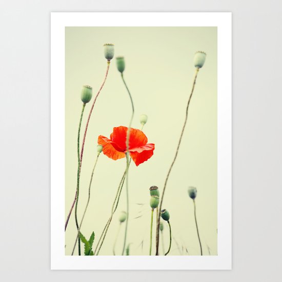 Poppy Art Print