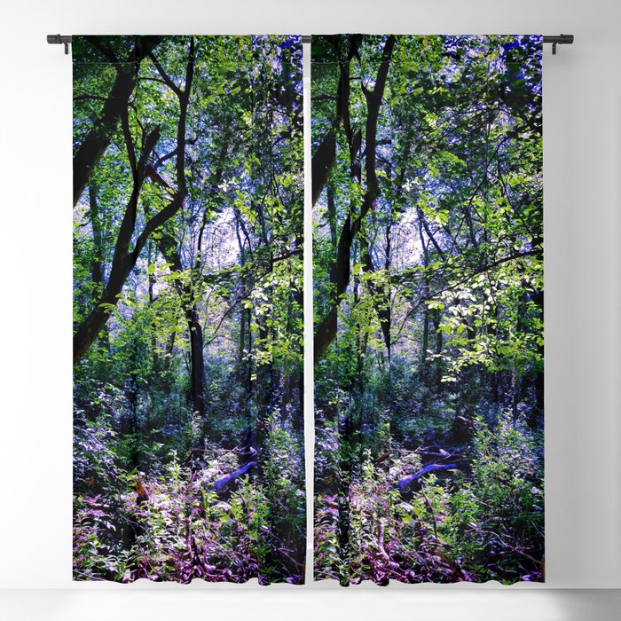 Pleasure of the Pathless Woods Blackout Curtain