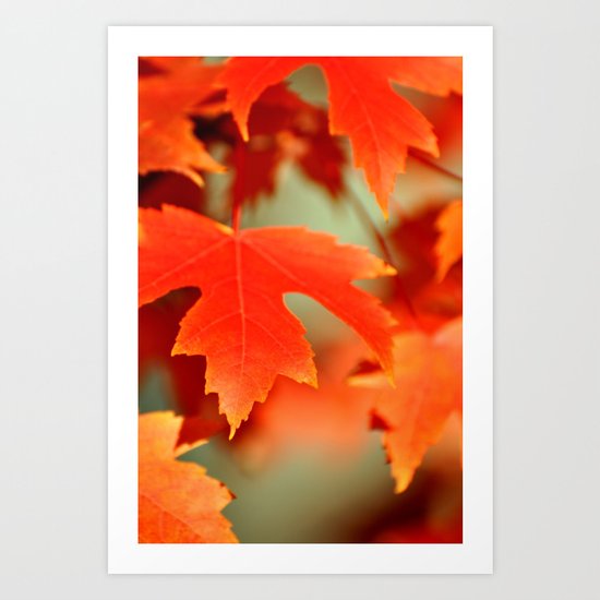 FALL LEAF - ORANGE Art Print