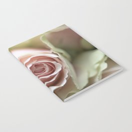 Soft blush pink rose - valentines flower - floral photography Notebook