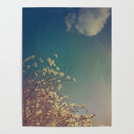 Head in the Clouds - minimal cottage core nature photo Poster