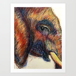 Wise old elephant  Art Print