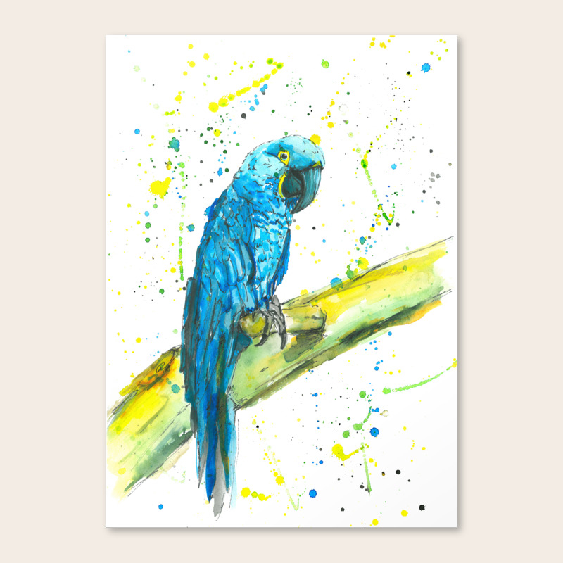 Parrot Hyacinth Macaw Watercolor Painting Canvas Print By