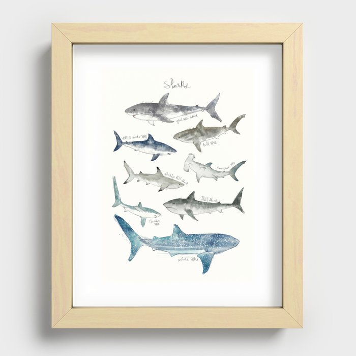 Sharks Recessed Framed Print