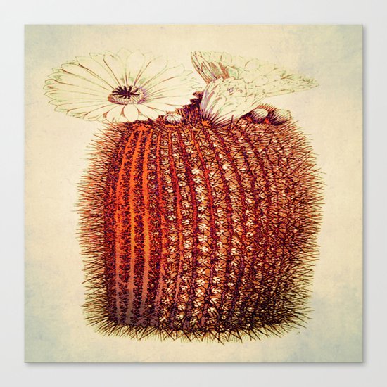 cactus with light Canvas Print