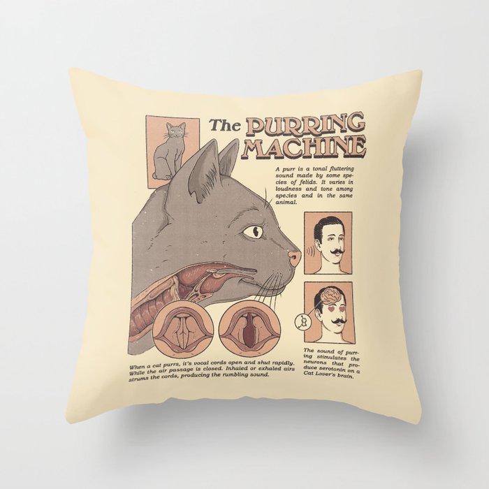 Throw Pillow