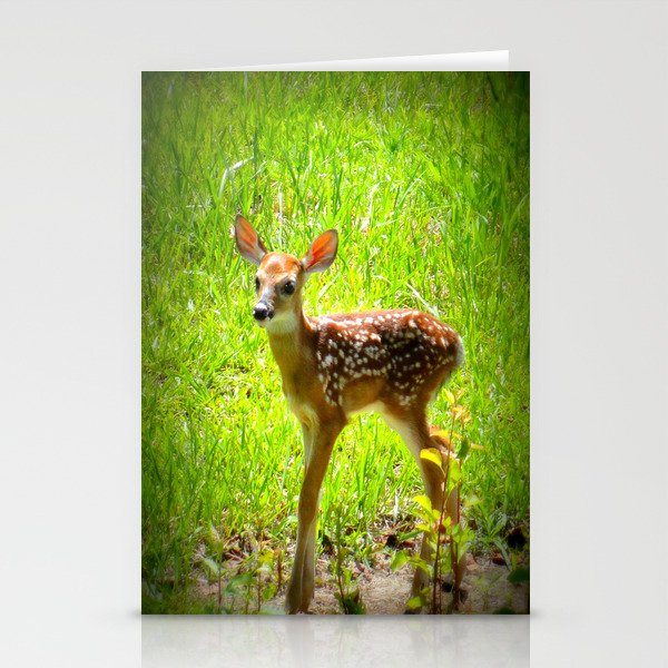 FAWN : Real Life Bambi Stationery Cards