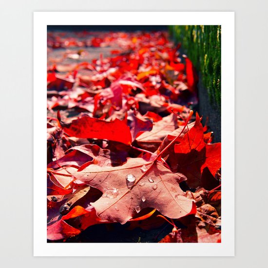 Autumn leaves Art Print