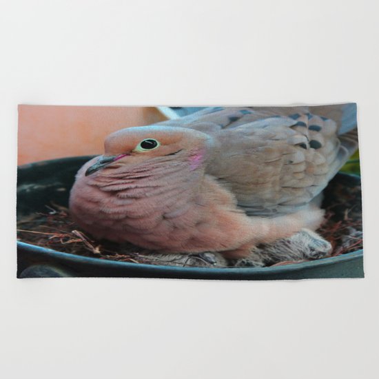 Baby Bird Peeking out at the World Beach Towel
