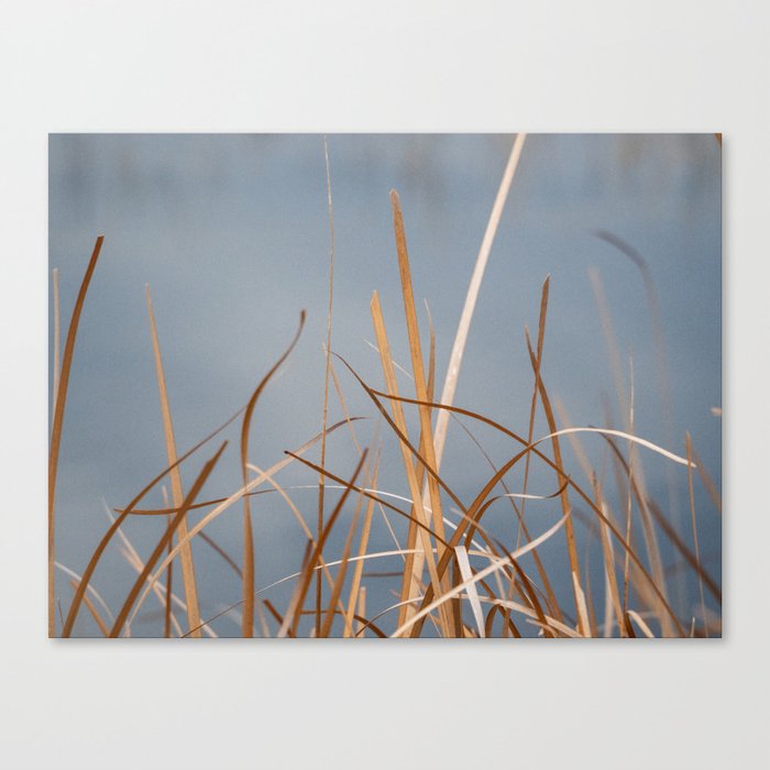 Free flowing marsh grass Canvas Print