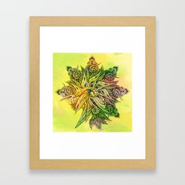 Botanical BioMorph Mandala Framed Art Print