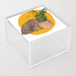 Cat Plops (in a plant, feat Beanie) Acrylic Box
