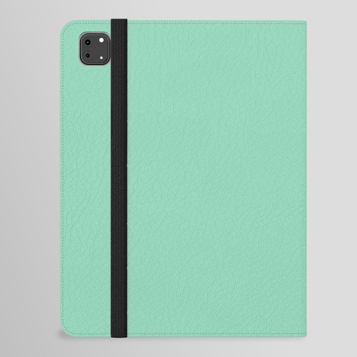 Mint Green iPad Folio Case