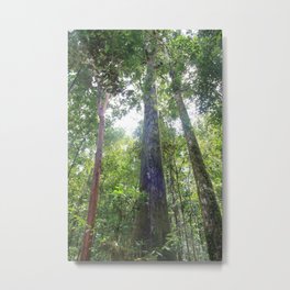 Grow Metal Print | Color, Photo, Nature, Green, Digital, Indonesia, Jungle, Travel, Trees 