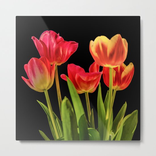 Tulips Metal Print