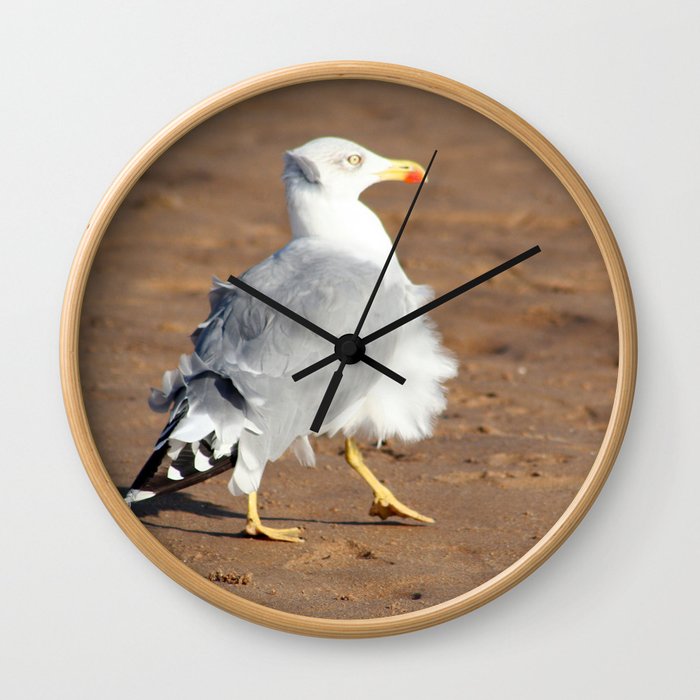 Seagull in a windy day with ruffled feathers Wall Clock