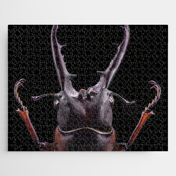 MACRO EXTREME Lucanus Cervus, Stag Beetle, Hirschkäfer Jigsaw Puzzle