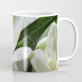 Spring flowers Coffee Mug