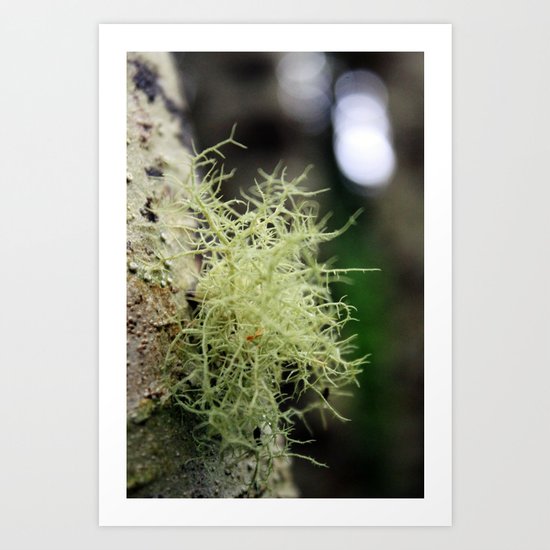Filaments Art Print