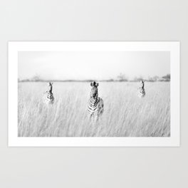 Zebras in Africa | Black and White Nature Art Print