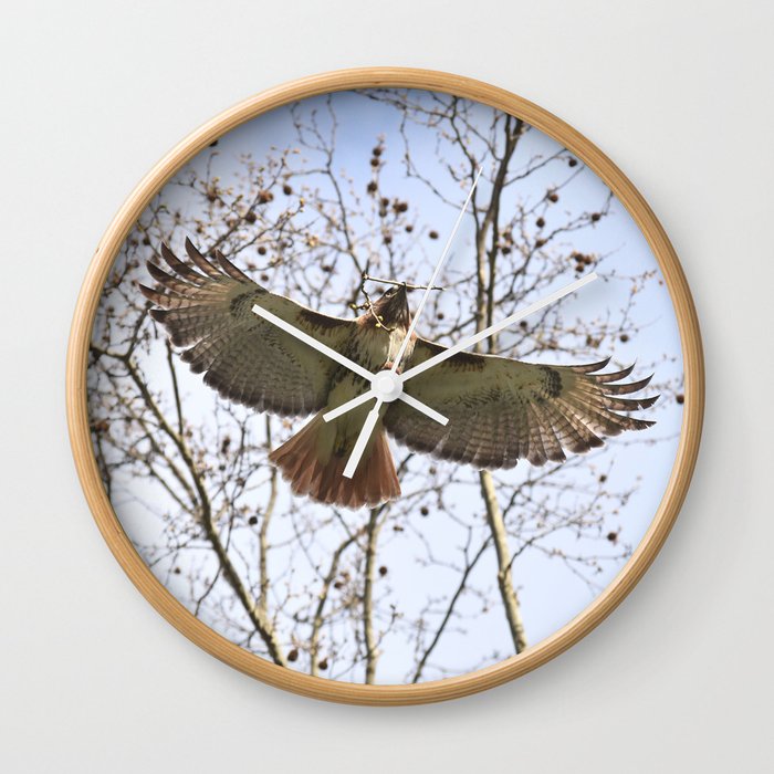 Gliding hawk 18 Wall Clock