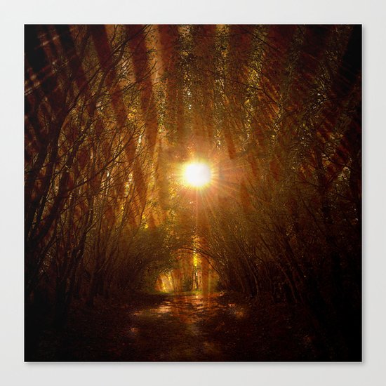 forest ####### Canvas Print