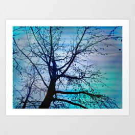  tree of wishes Art Print