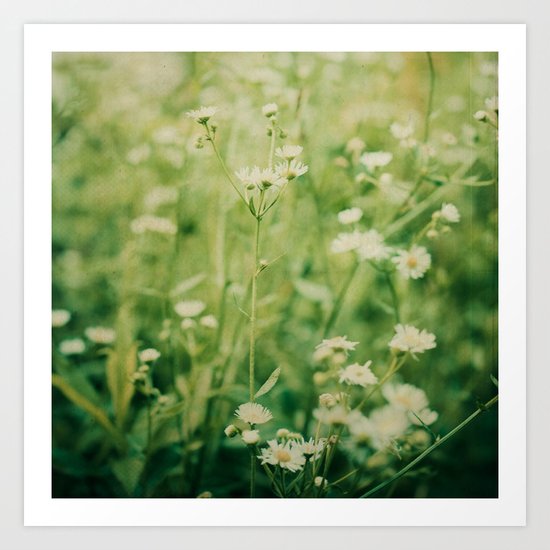 Dreams of Summer Flowers Art Print