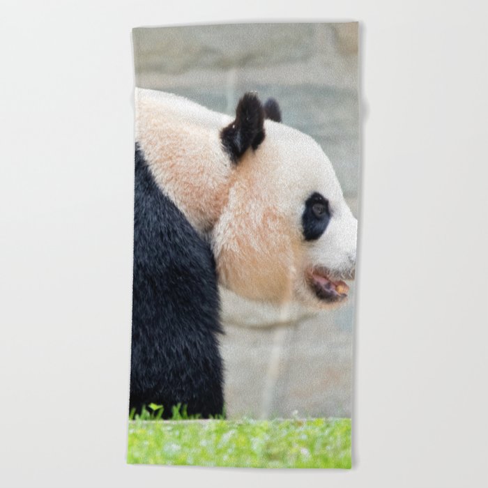 walking panda Beach Towel