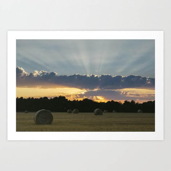 Field of round straw bales at sunset. Norfolk, UK. Art Print