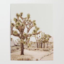 Pale Desert 2 - Joshua Tree Cactus Landscape Photography Poster