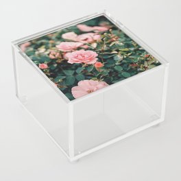 Dreamy wild pink roses on film Acrylic Box