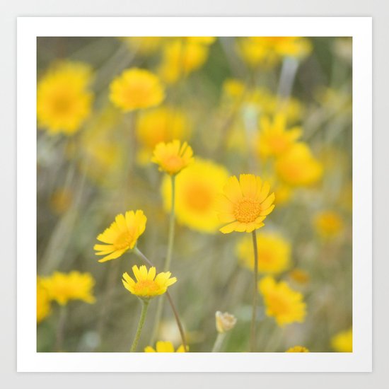 Sunshine Dance Art Print