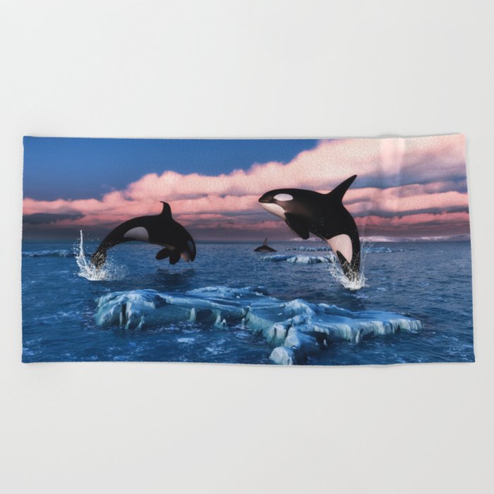Killer Whales In The Arctic Ocean Beach Towel