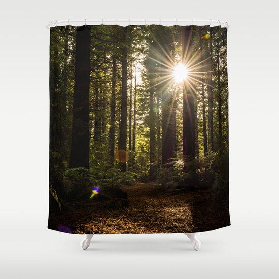 Redwood Forest Shower Curtain By Michelle Mcconnell Society6