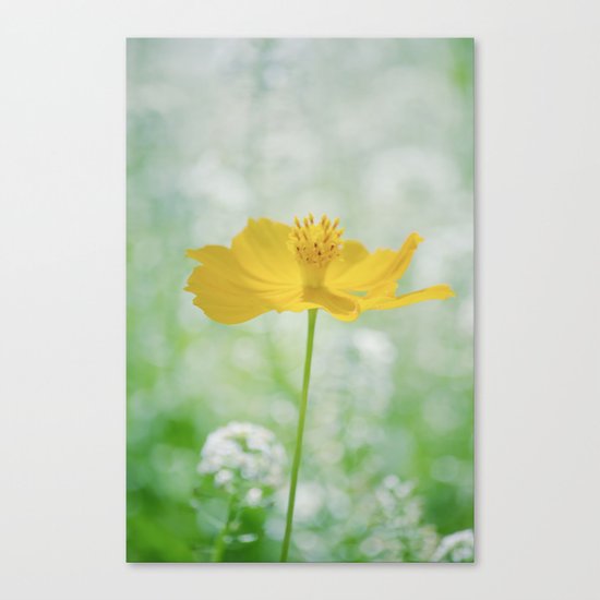 Yellow Bloom Canvas Print