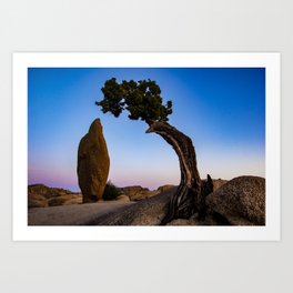 Penguin Rock and Juniper Tree in Joshua Tree NP Art Print